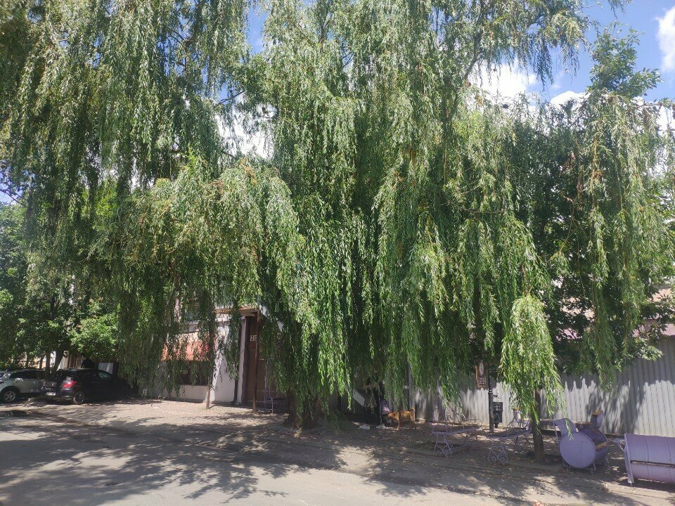 Гостиница Дизайн - Отель Ставрополь-80